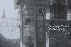 nettlebed 064