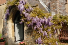 IMG_20180516_101716379