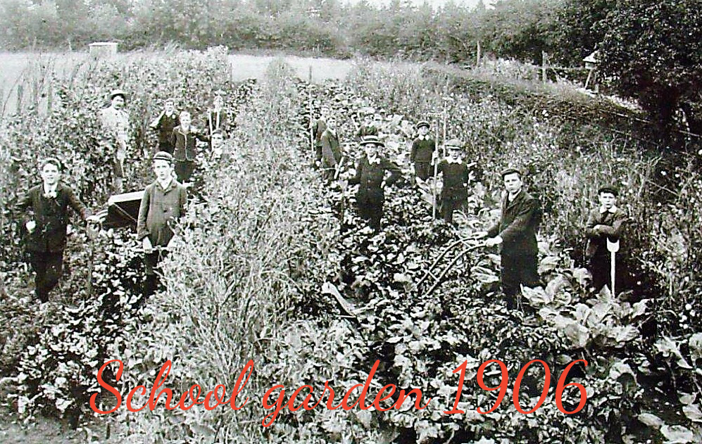 006 School garden copy