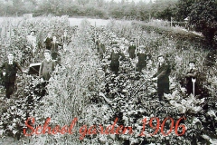 006 School garden copy
